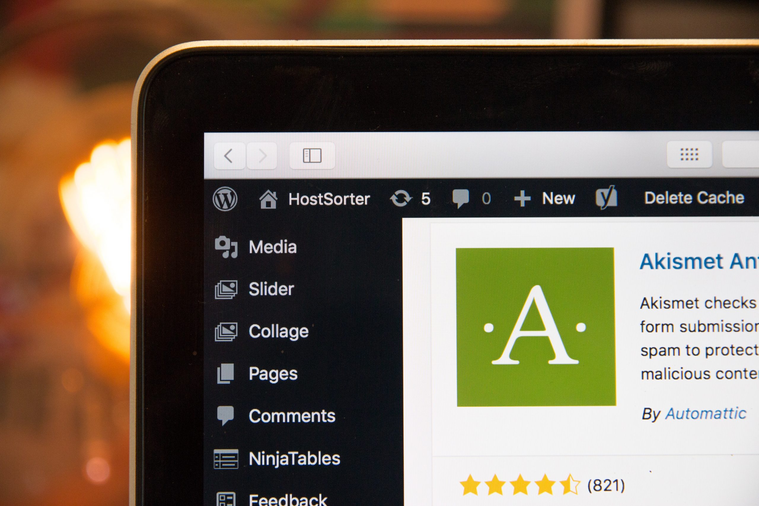 Improving WordPress Site Performance and Speed