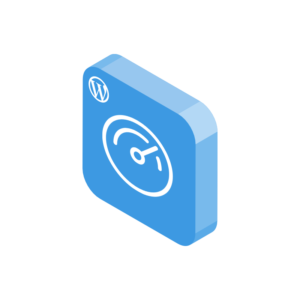 WordPress Site Performance Tune Up